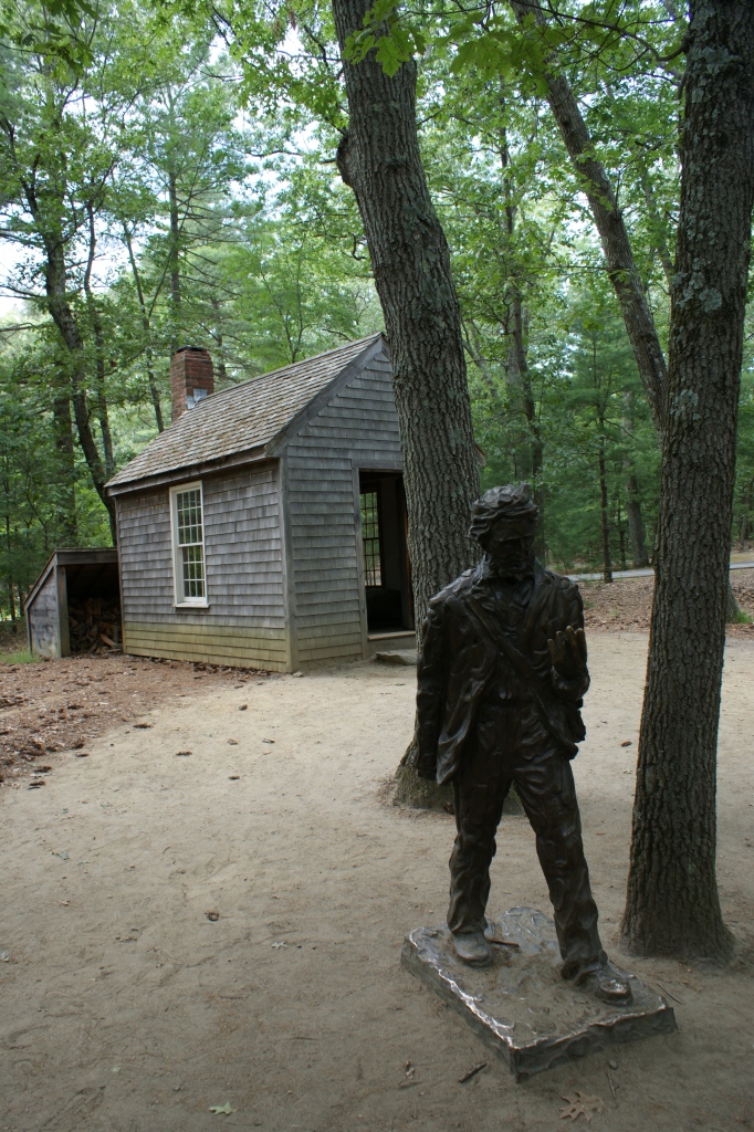 Within a stones throw of this, a replica of the cabin where Thoreau lived and wrote for two years,you can see ...